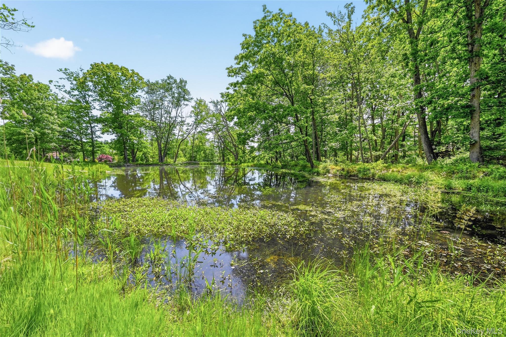 27 Van Tassel Court – For Sale photo 49