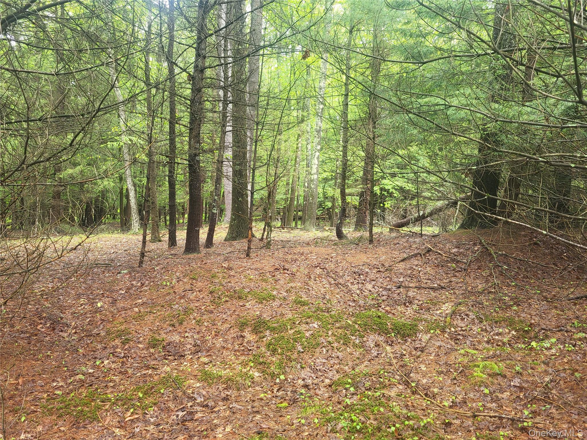 *** Marsh Rd – For Sale photo 6