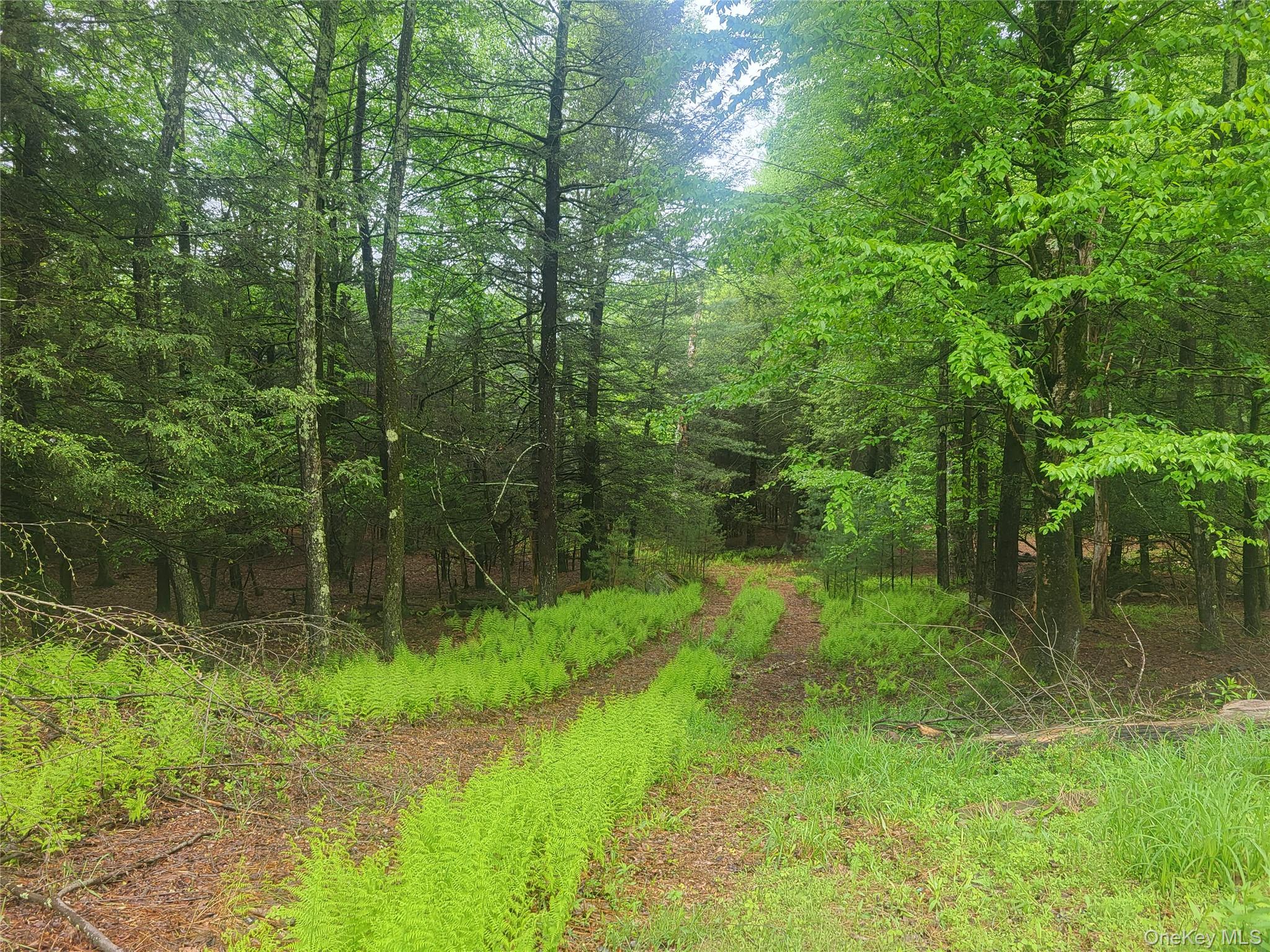 *** Marsh Rd – For Sale photo 4