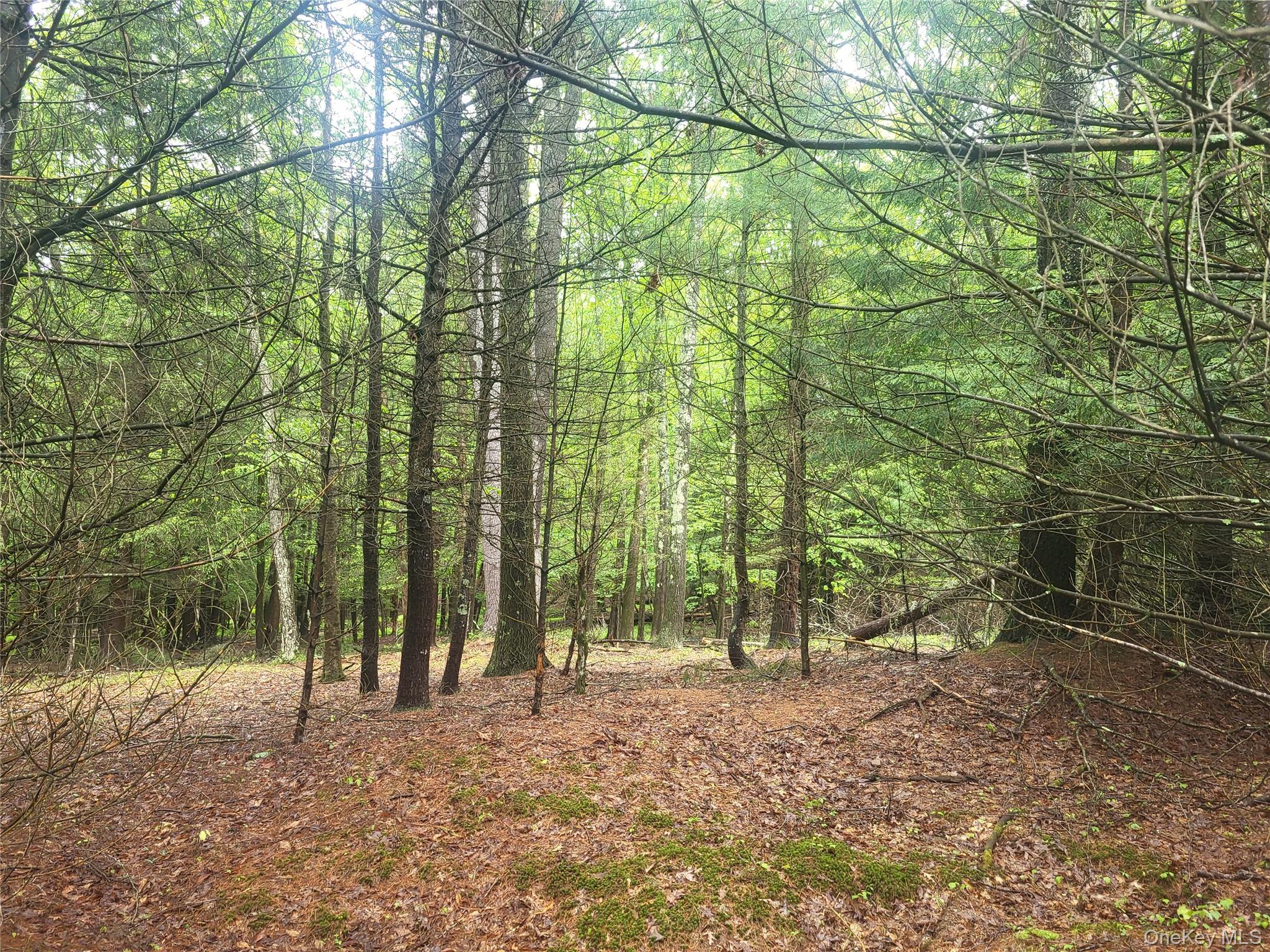 *** Marsh Rd – For Sale photo 7