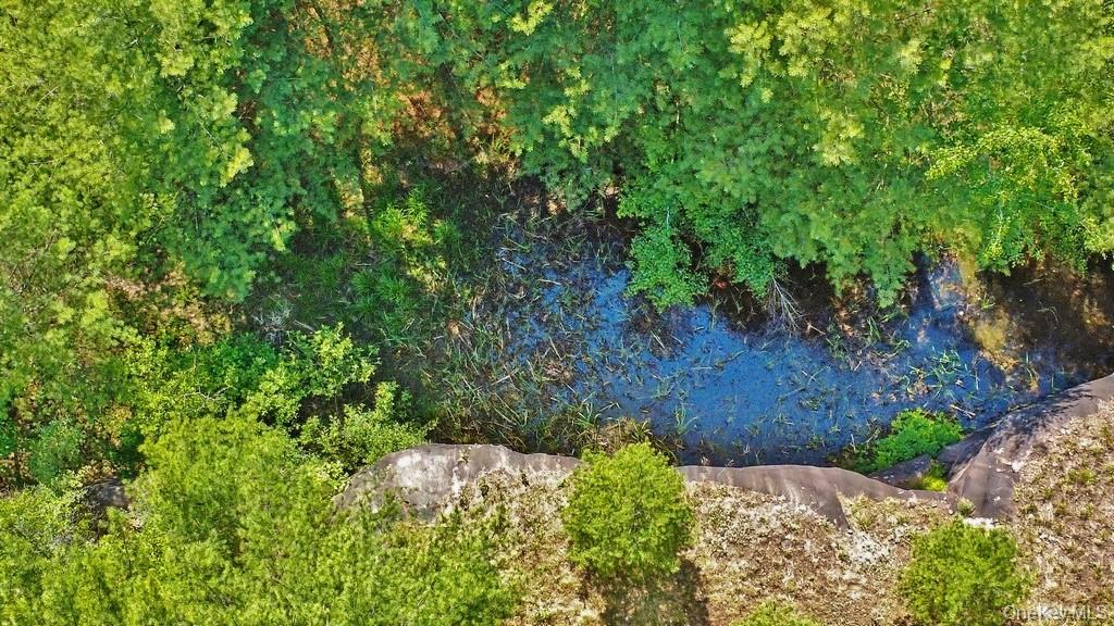 *** Marsh Rd – For Sale photo 8