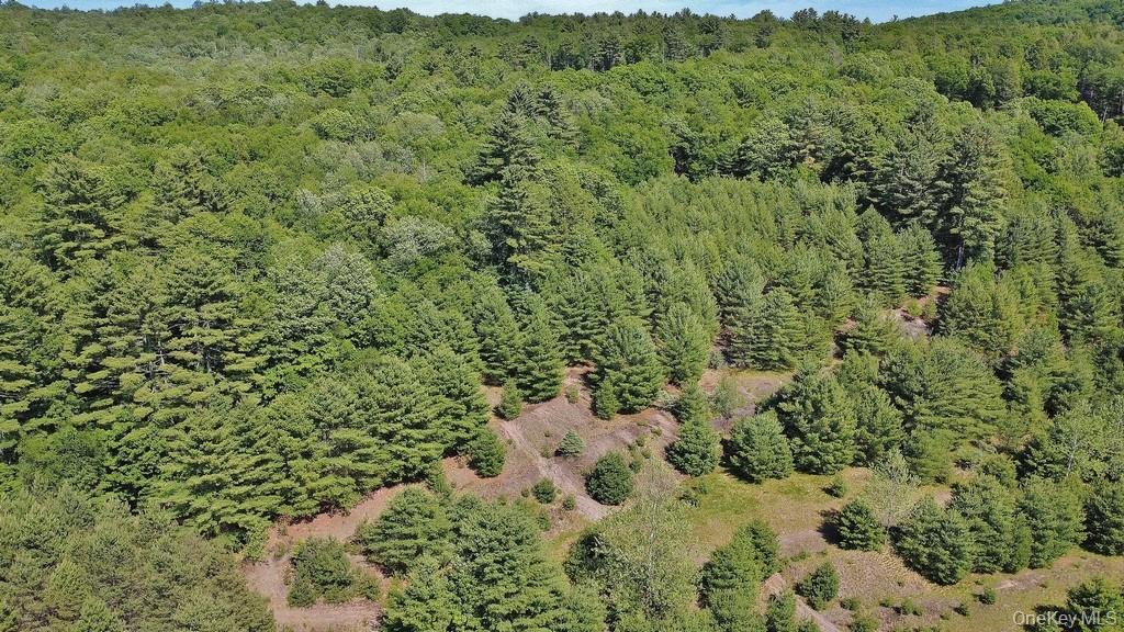 *** Marsh Rd – For Sale photo 19