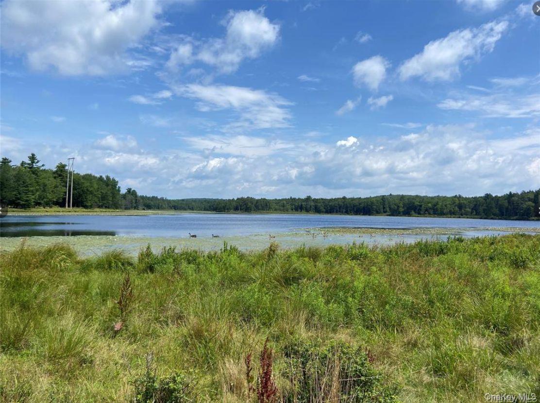 15 Bailey Lake Road, Unit #-1 photo 9