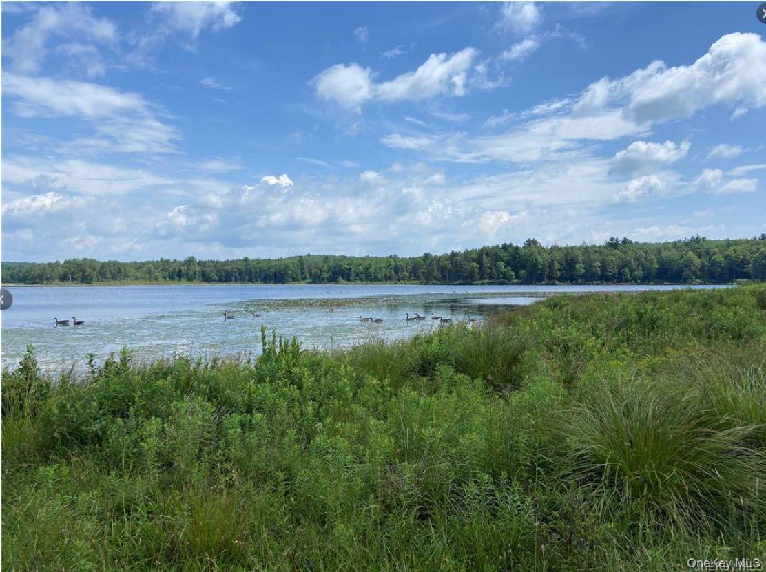 15 Bailey Lake Road, Unit #-1 photo 2