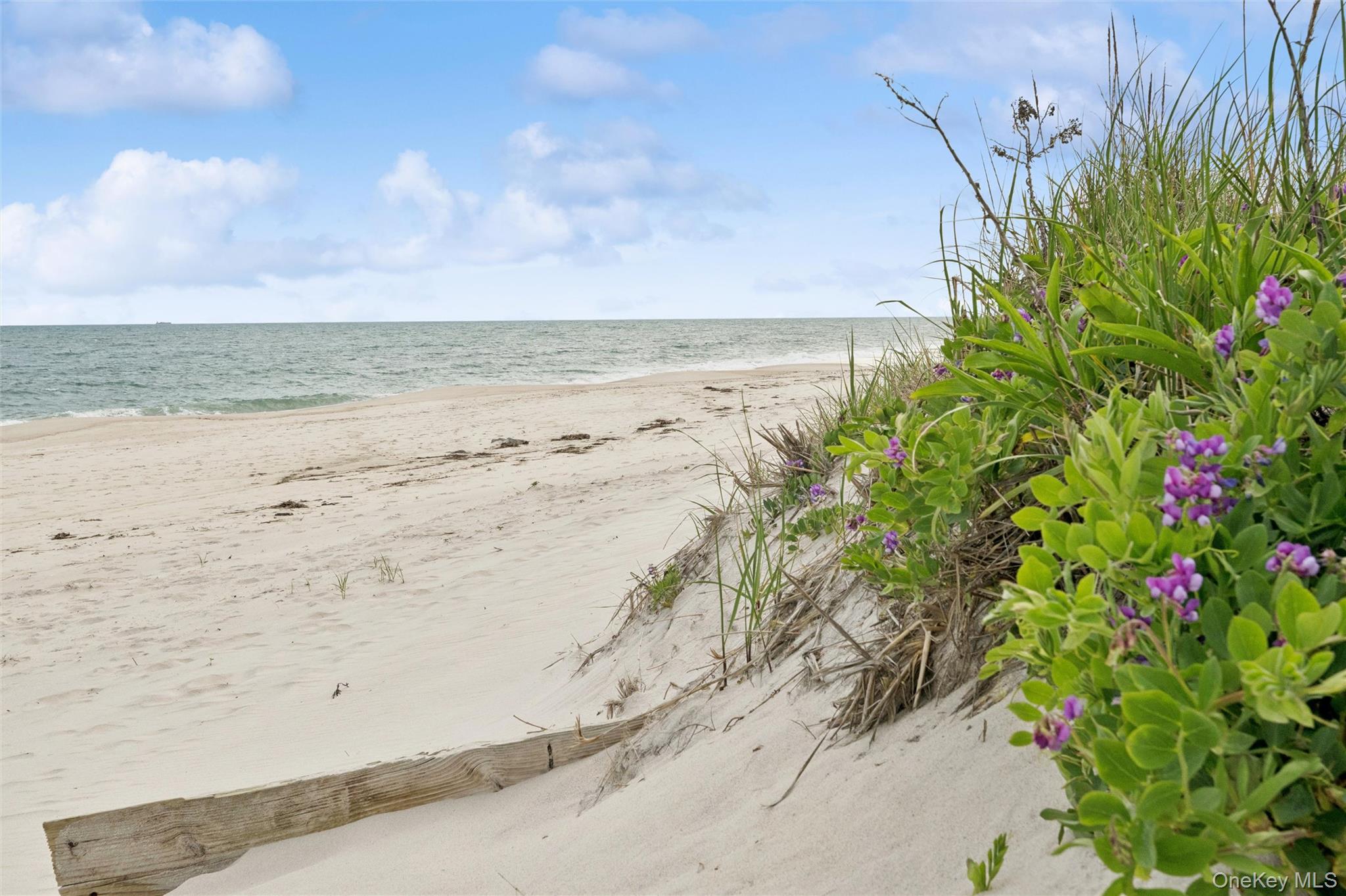 281 Dune Road, Unit 17B photo 25