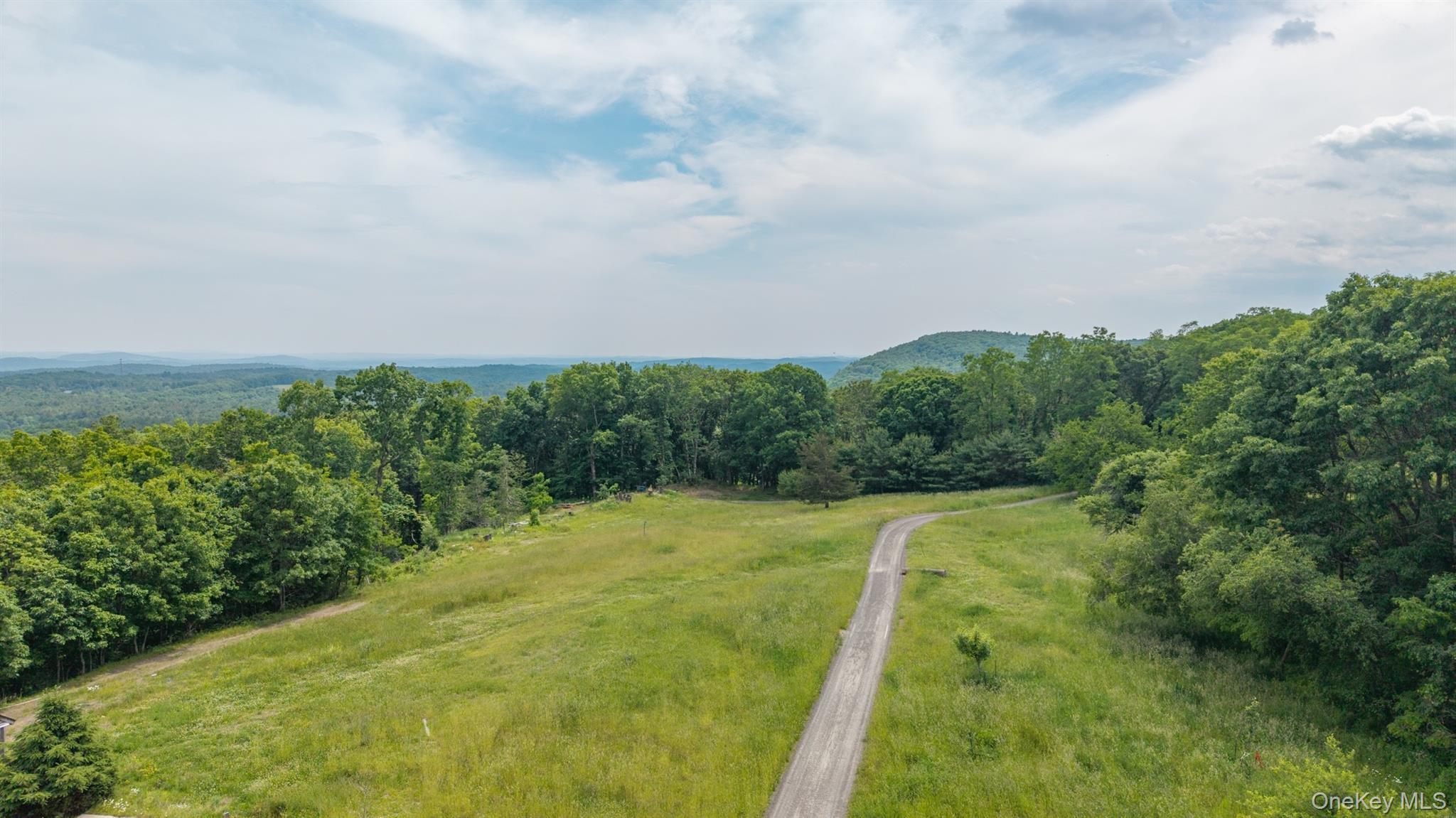 TBD Skinner Lane – For Sale photo 5