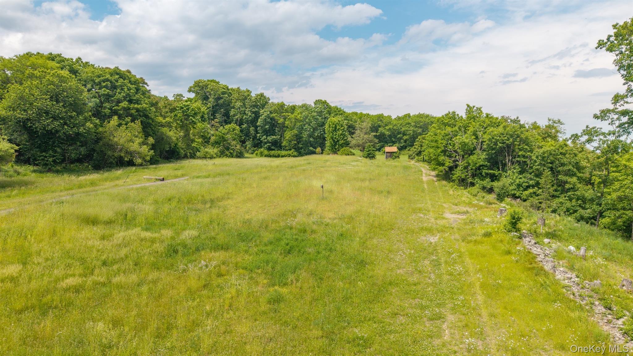 TBD Skinner Lane – For Sale photo 8