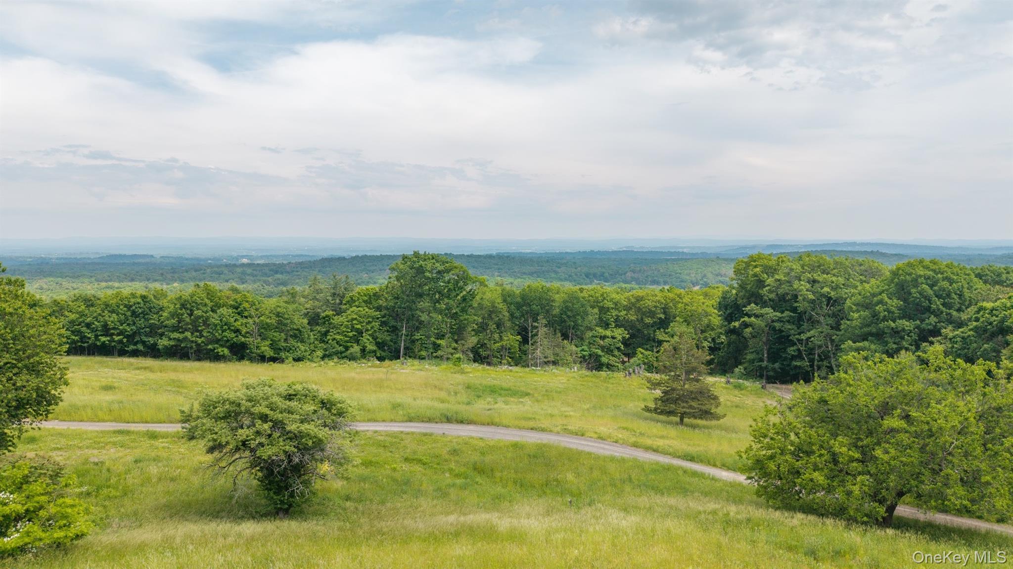 TBD Skinner Lane – For Sale photo 10