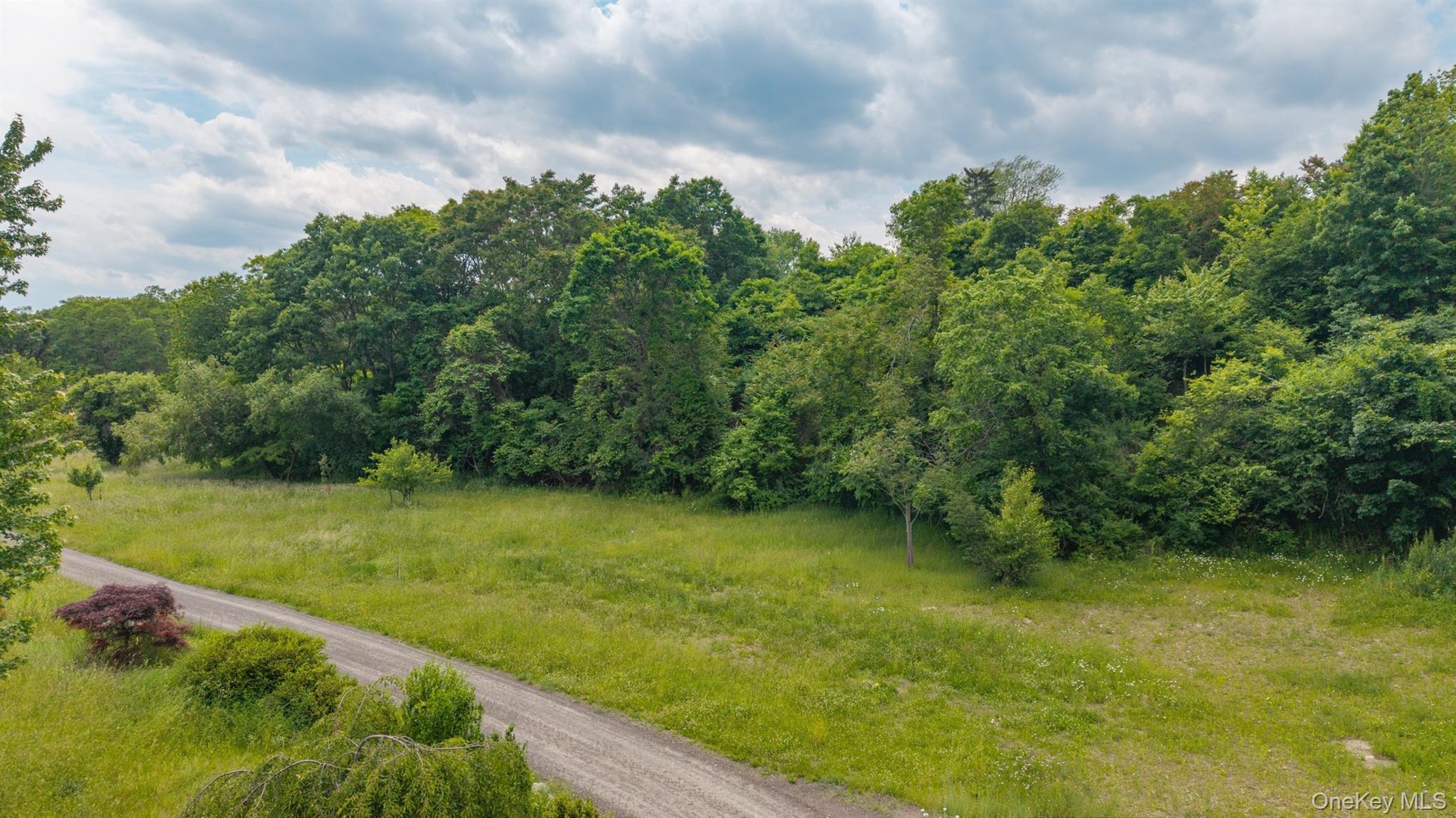 TBD Skinner Lane – For Sale photo 14