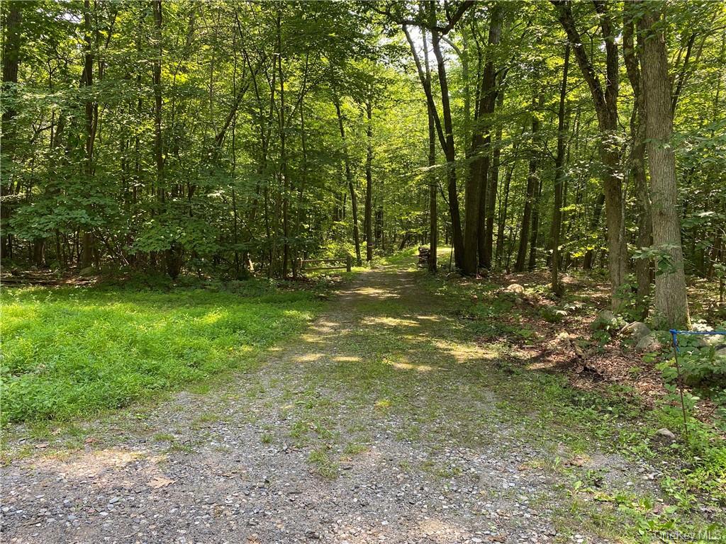 554 & 545 East Mountain Rd. North – For Sale photo 6