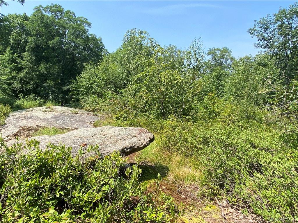 554 & 545 East Mountain Rd. North – For Sale photo 11