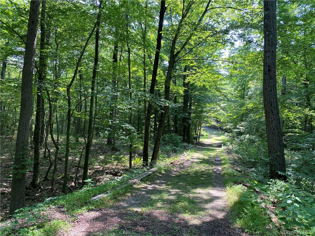 554 & 545 East Mountain Rd. North – For Sale photo 8