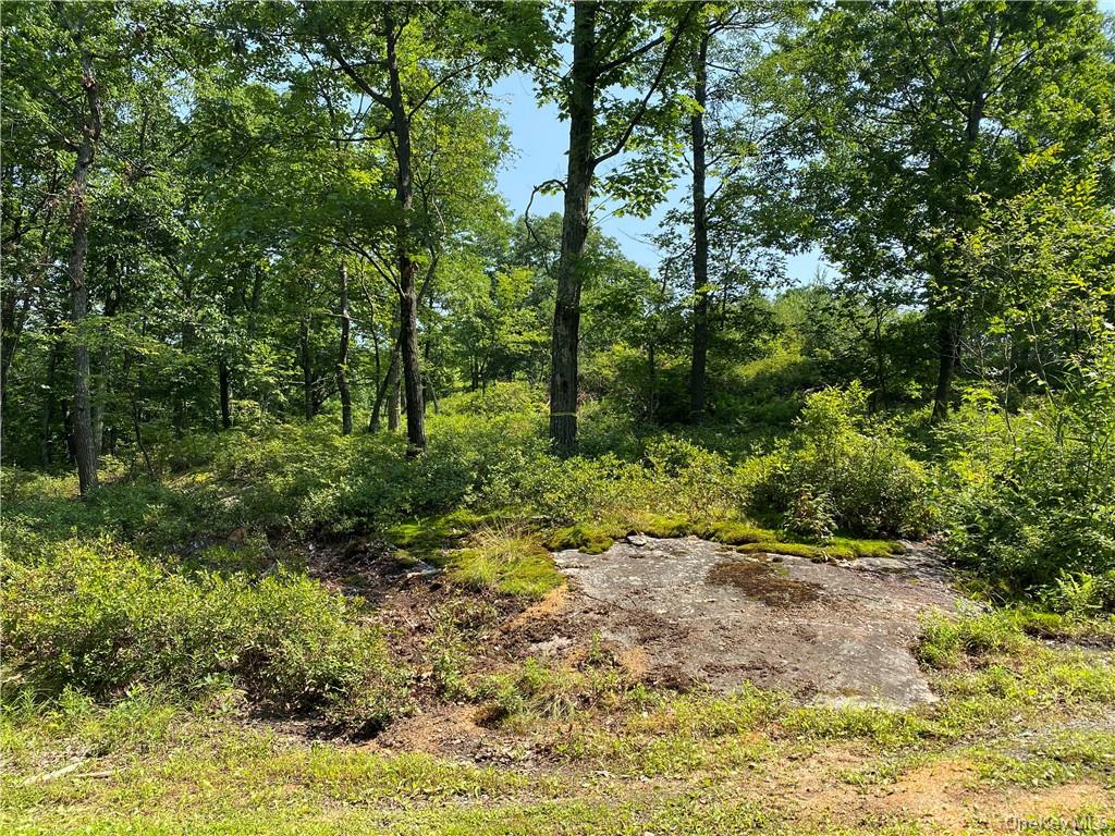 554 & 545 East Mountain Rd. North – For Sale photo 9