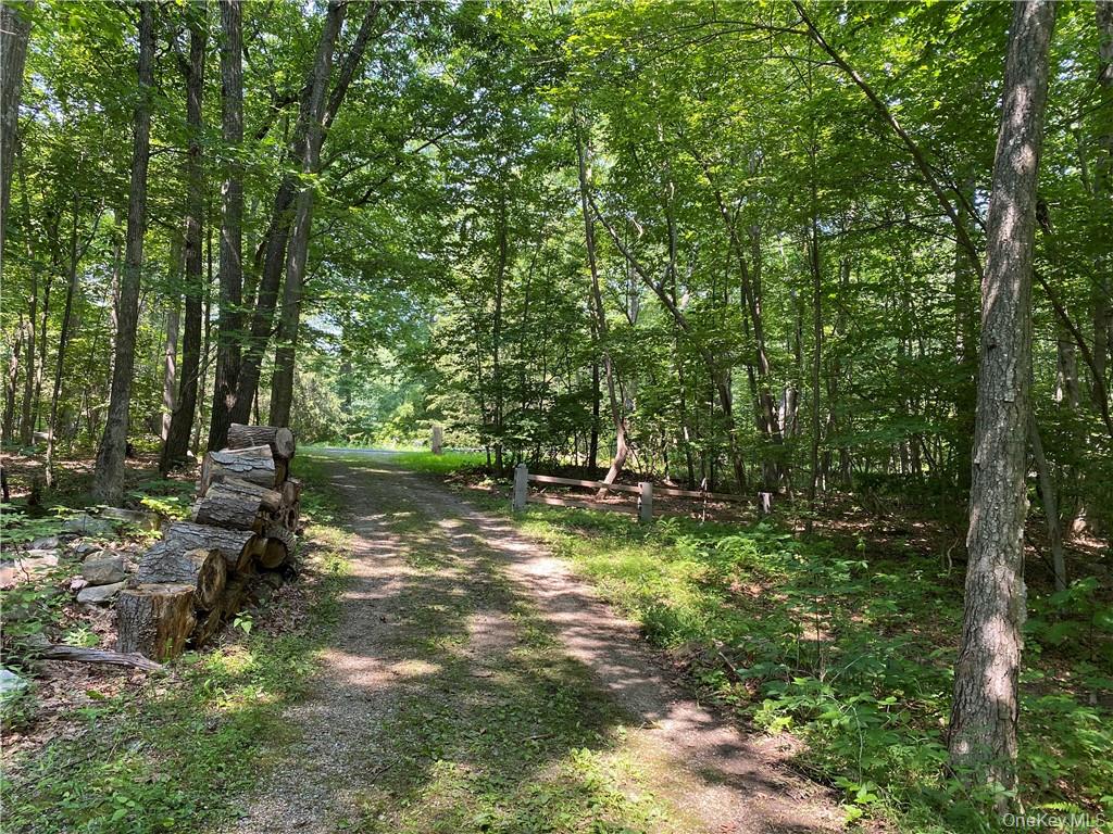 554 & 545 East Mountain Rd. North – For Sale photo 5
