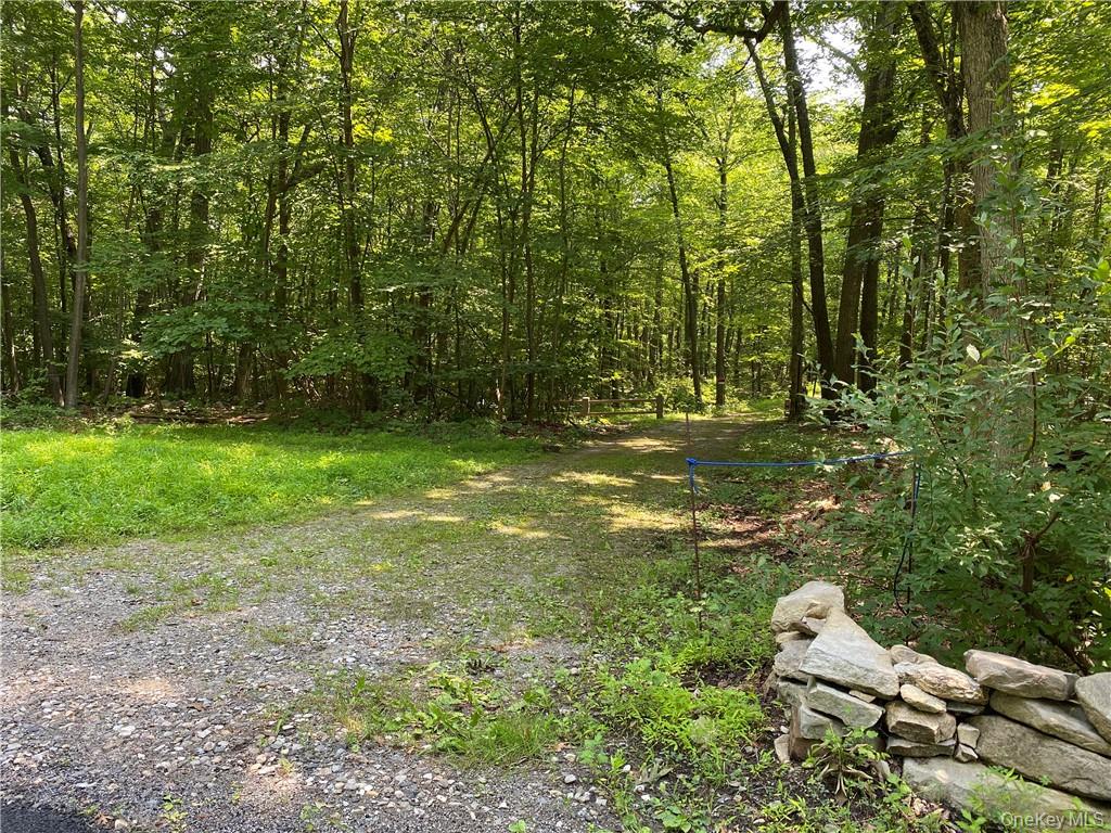 554 & 545 East Mountain Rd. North – For Sale photo 4