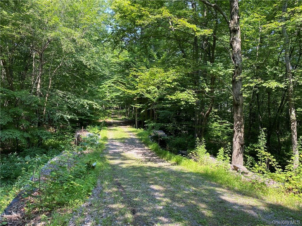 554 & 545 East Mountain Rd. North – For Sale photo 7