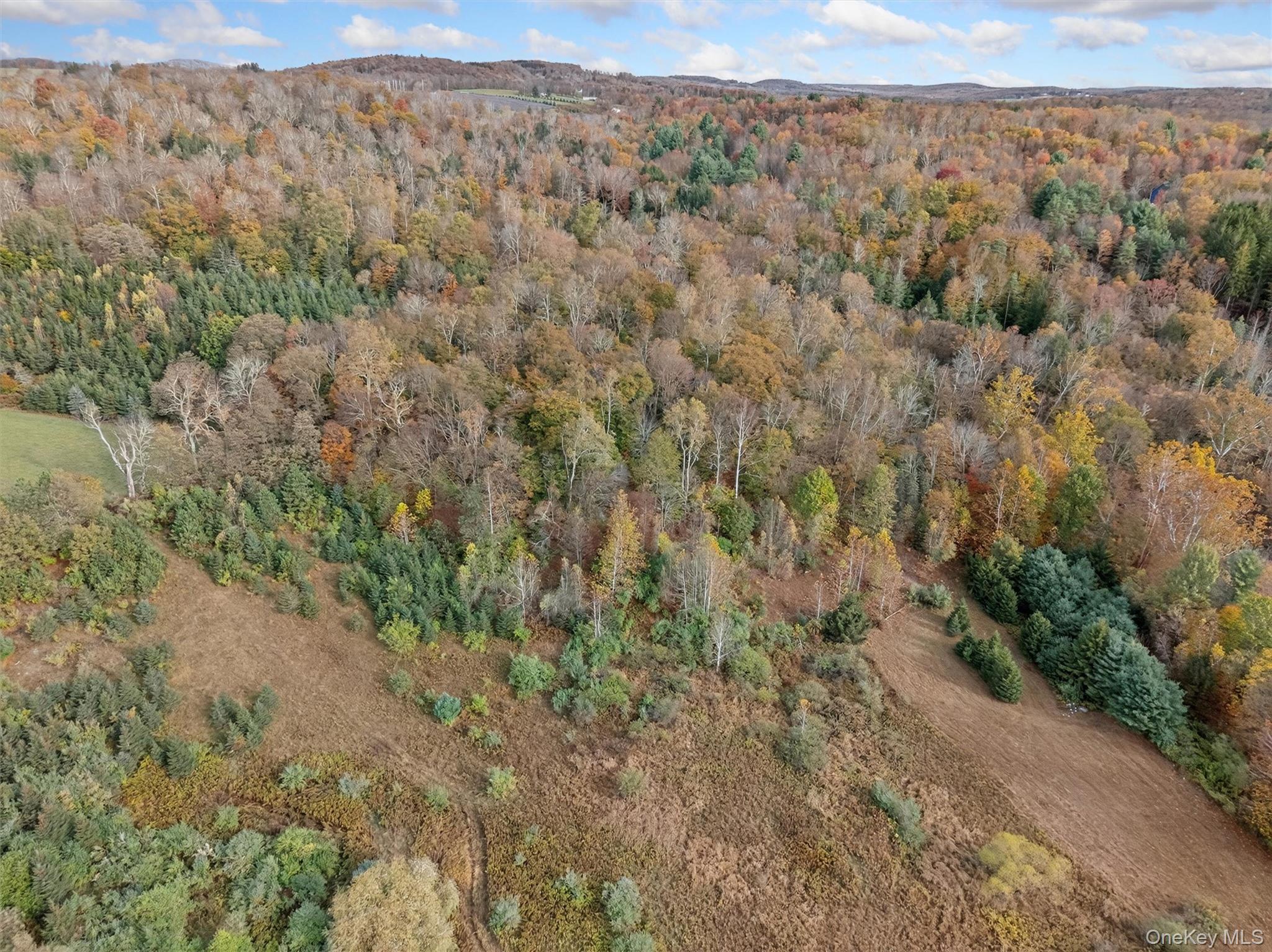 22 State Route 52A – For Sale photo 6