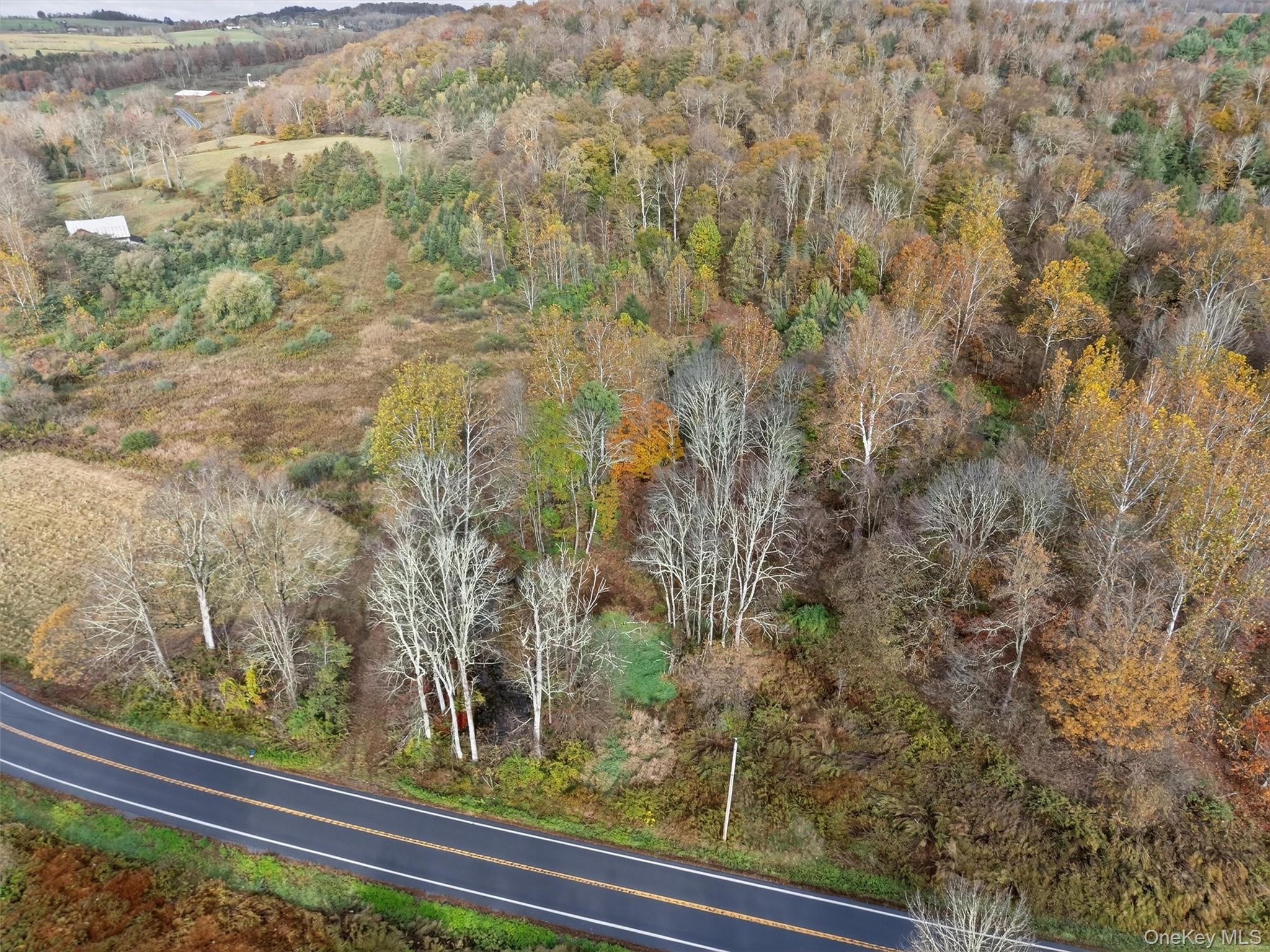 22 State Route 52A – For Sale photo 17