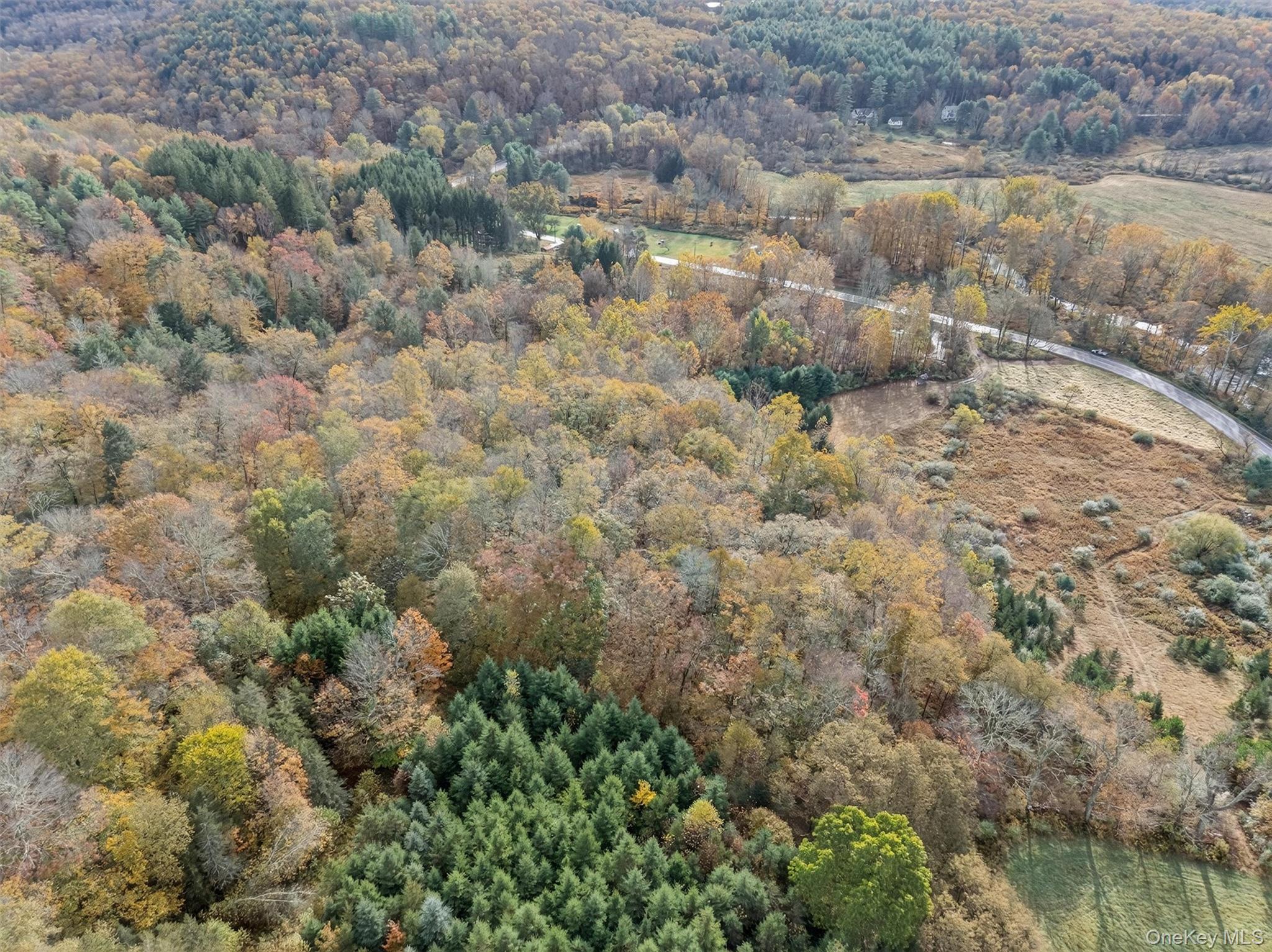 22 State Route 52A – For Sale photo 8