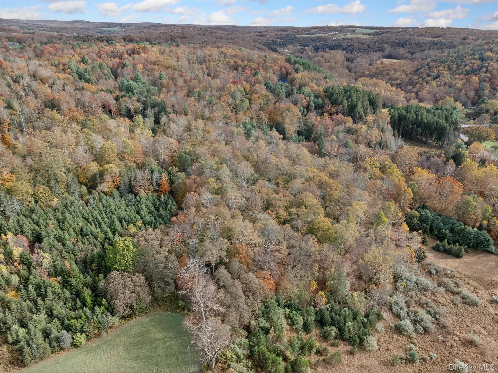 22 State Route 52A – For Sale photo 7