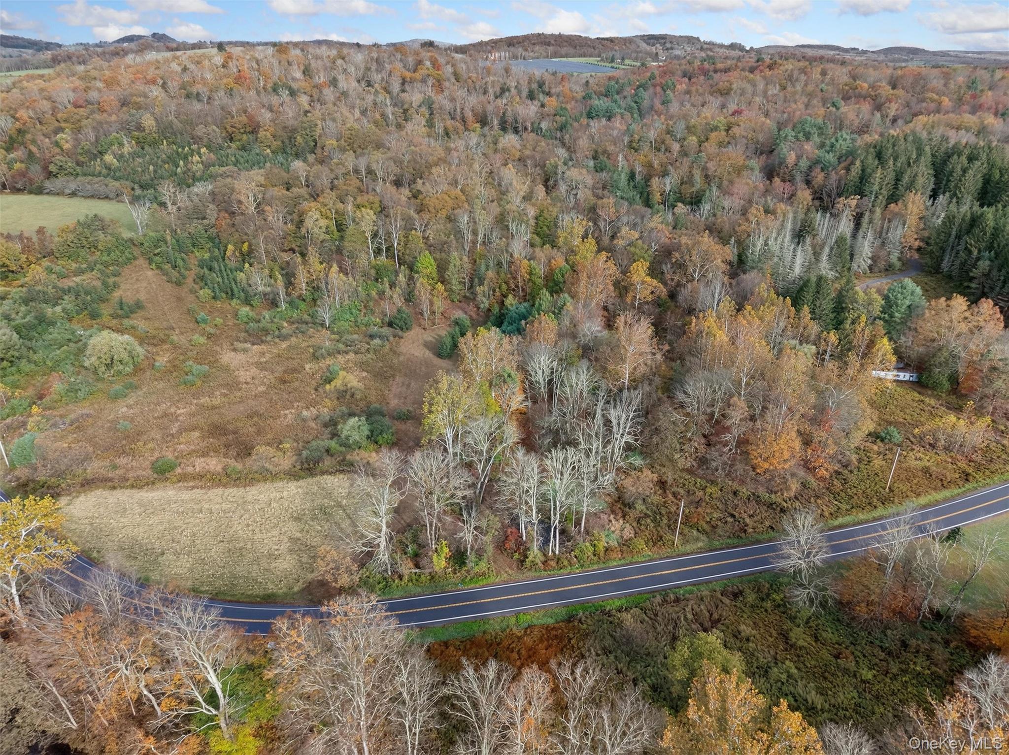 22 State Route 52A – For Sale photo 5