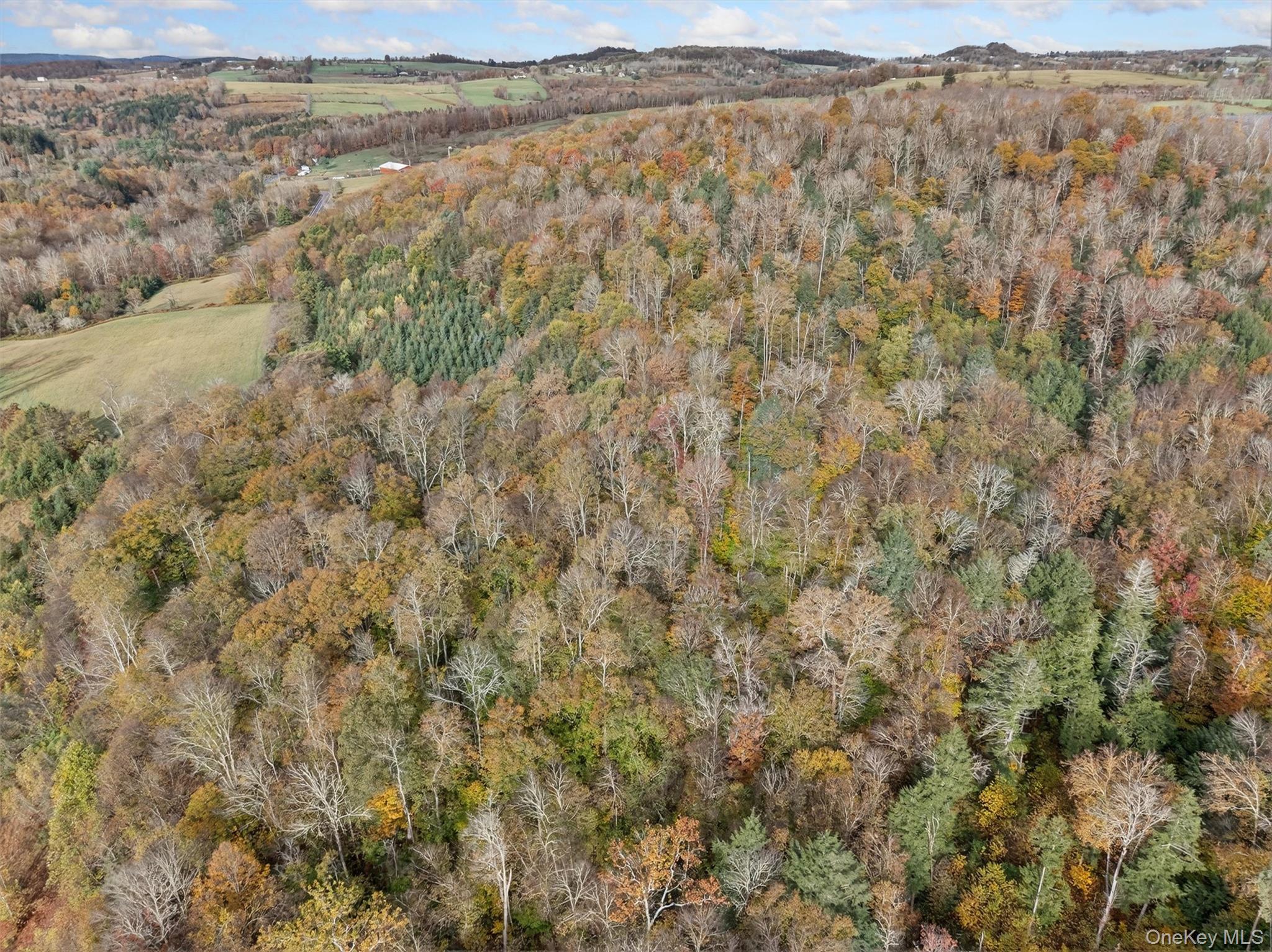 22 State Route 52A – For Sale photo 12