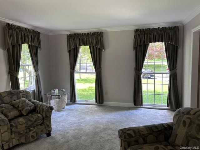 3 Truman Court – For Sale photo 3