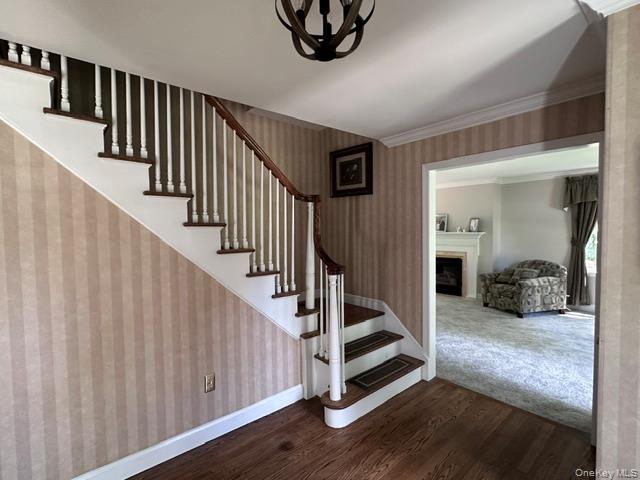 3 Truman Court – For Sale photo 2