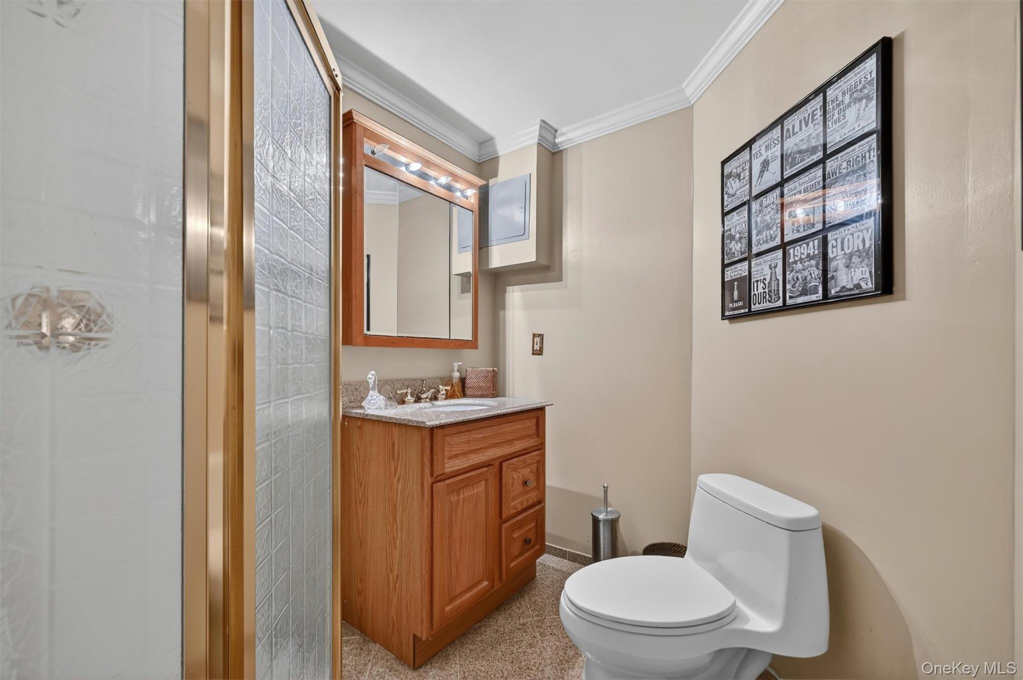3 Truman Court – For Sale photo 41