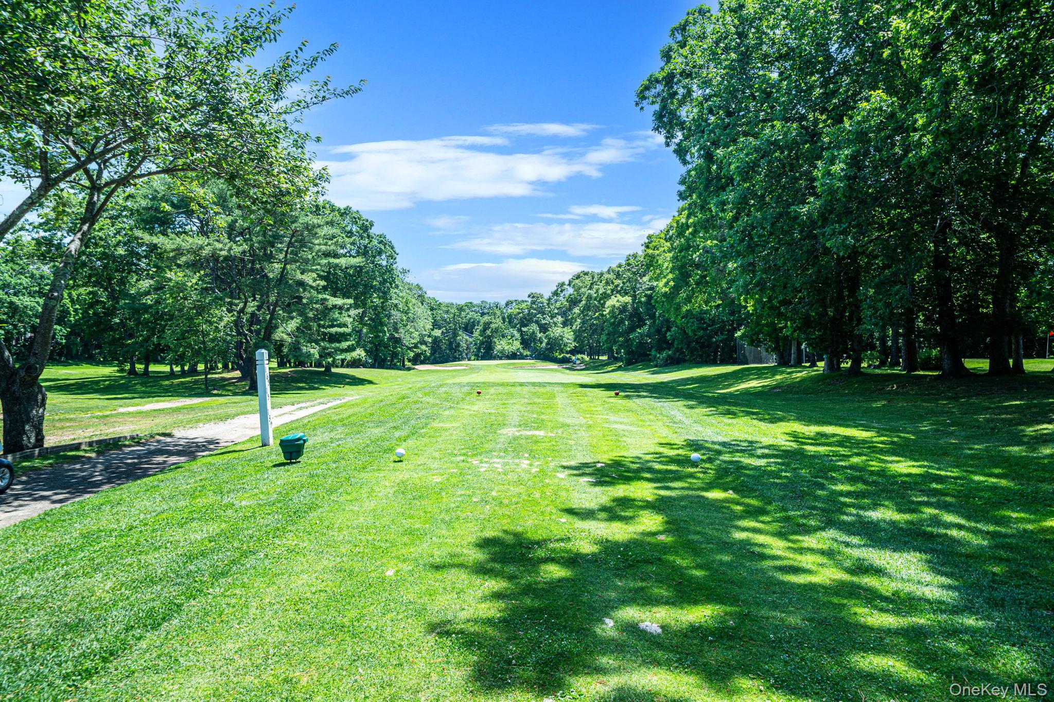 794 Blue Ridge Drive – For Sale photo 25