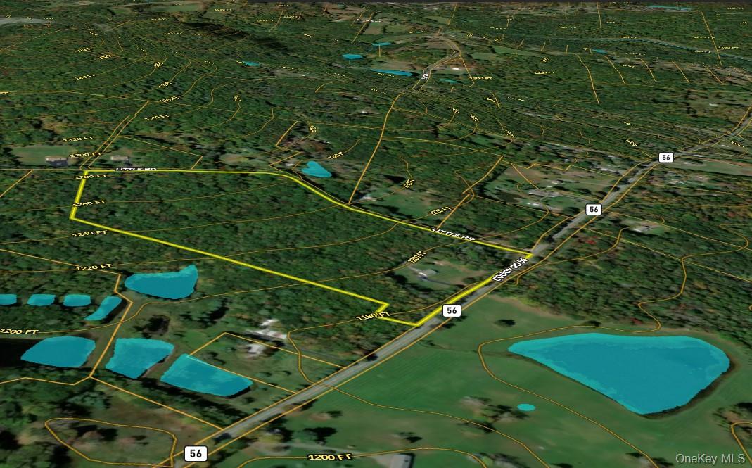 1347 County Route 56 – For Sale photo 47
