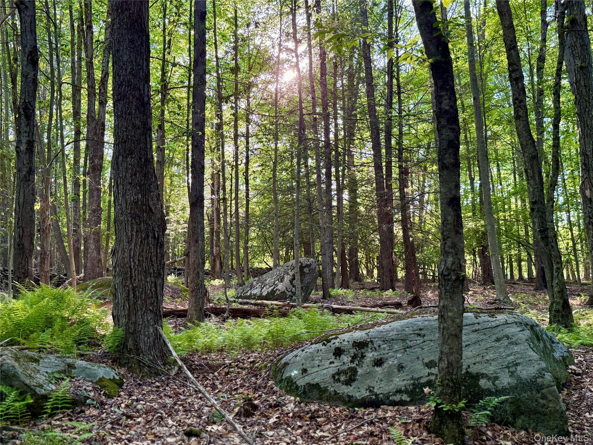1347 County Route 56 – For Sale photo 41