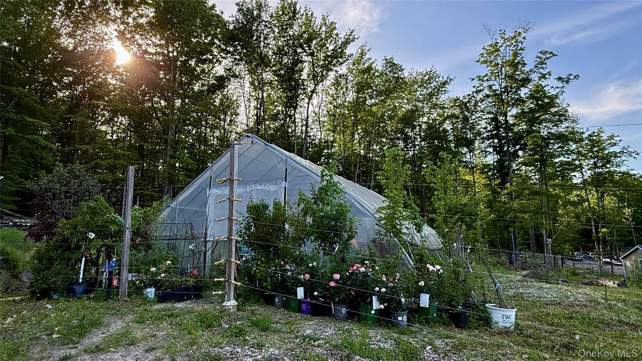 1347 County Route 56 – For Sale photo 6