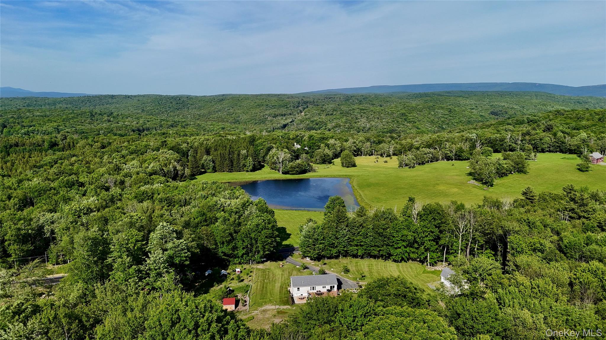 1347 County Route 56 – For Sale photo 3