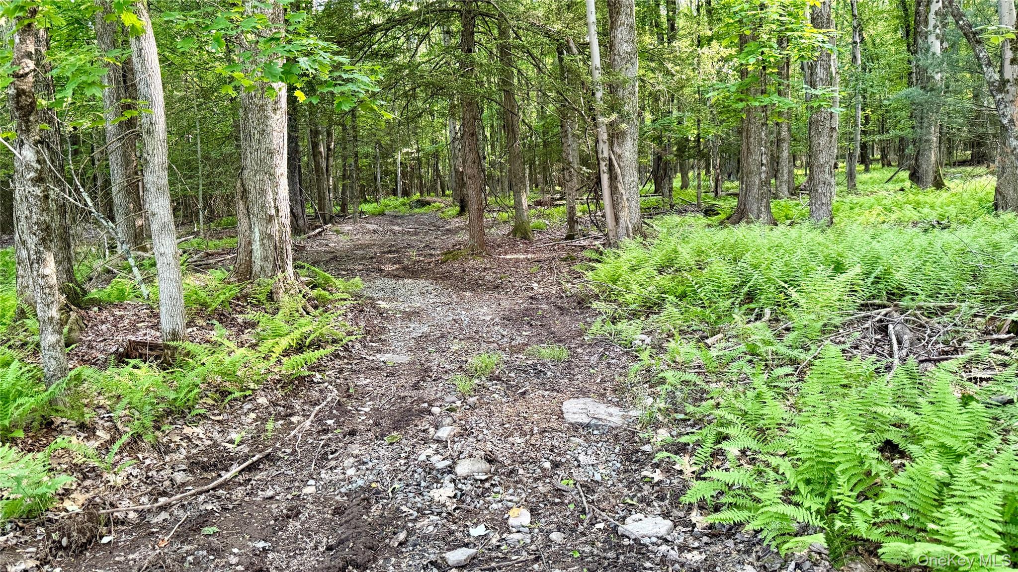 1347 County Route 56 – For Sale photo 42