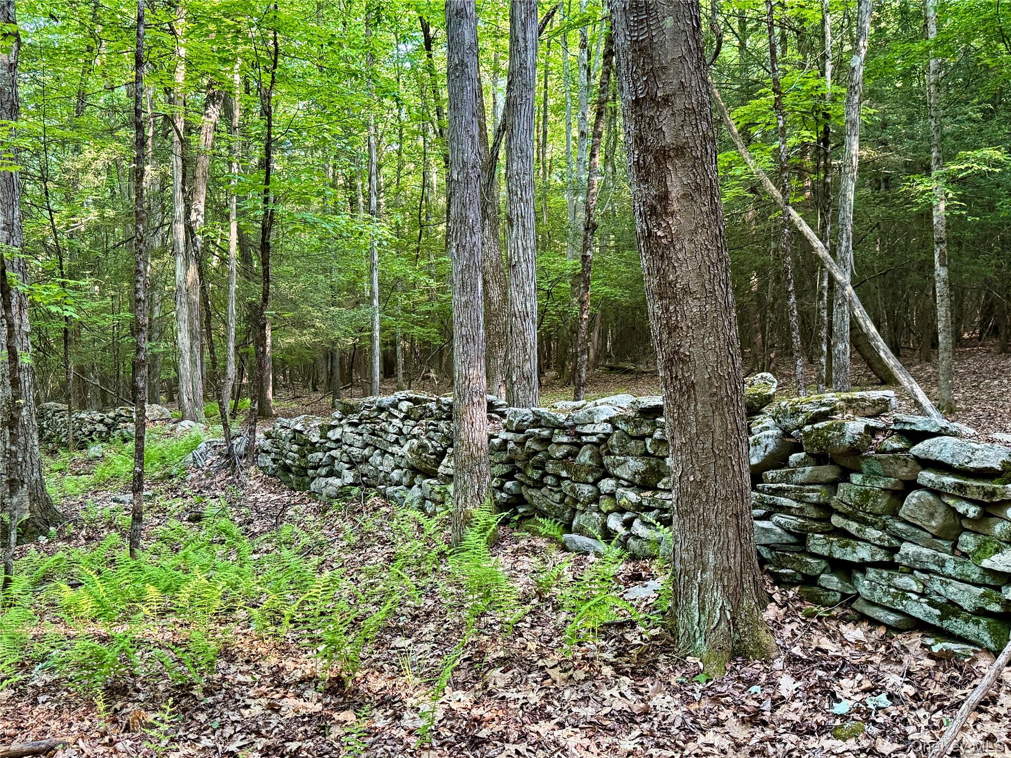 1347 County Route 56 – For Sale photo 43