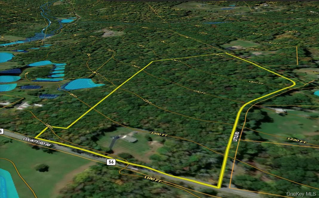 1347 County Route 56 – For Sale photo 45