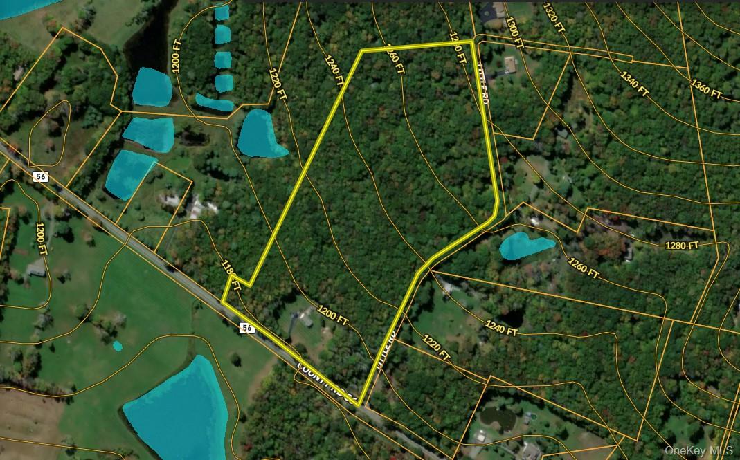 1347 County Route 56 – For Sale photo 46