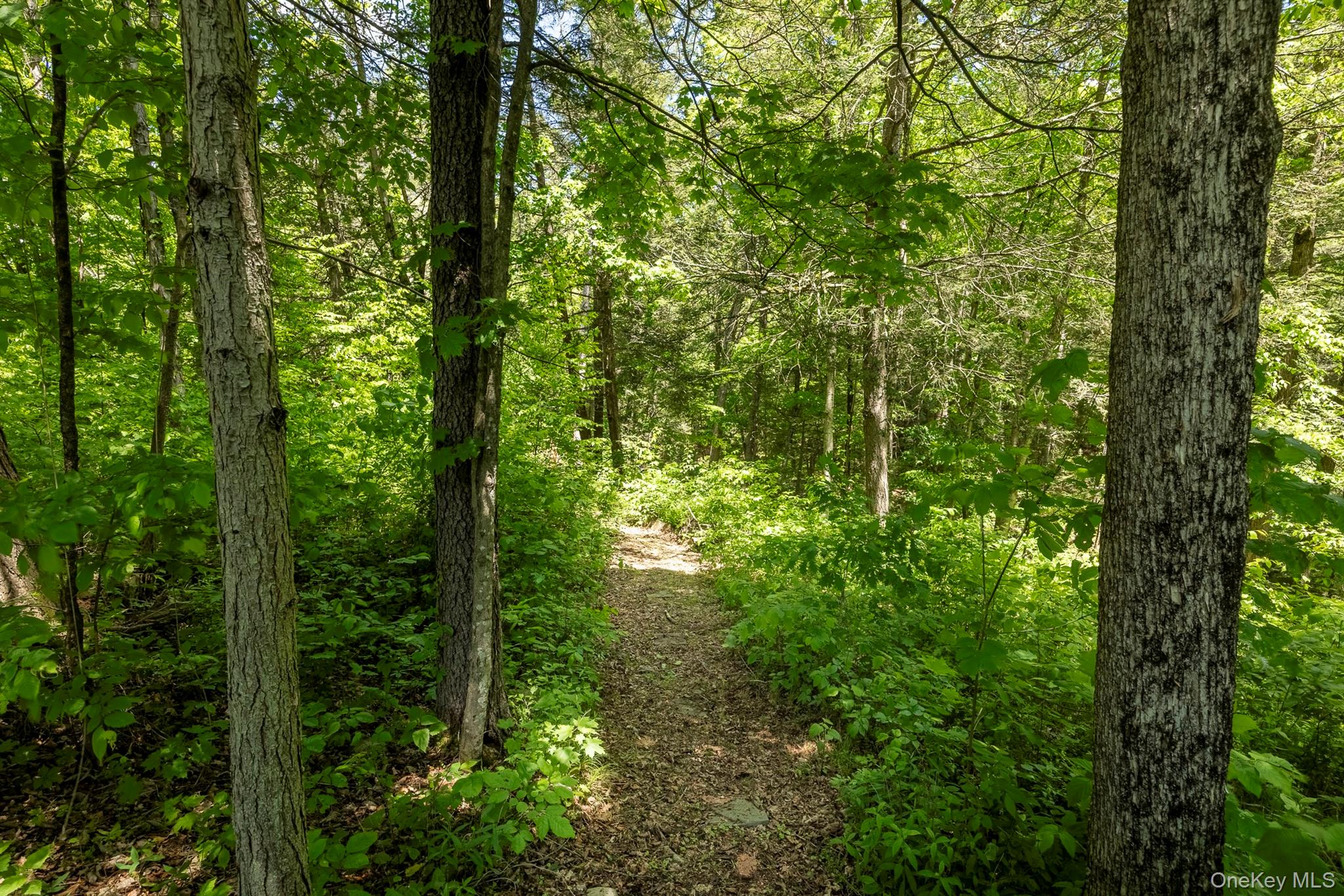 82 Near Road – For Sale photo 23