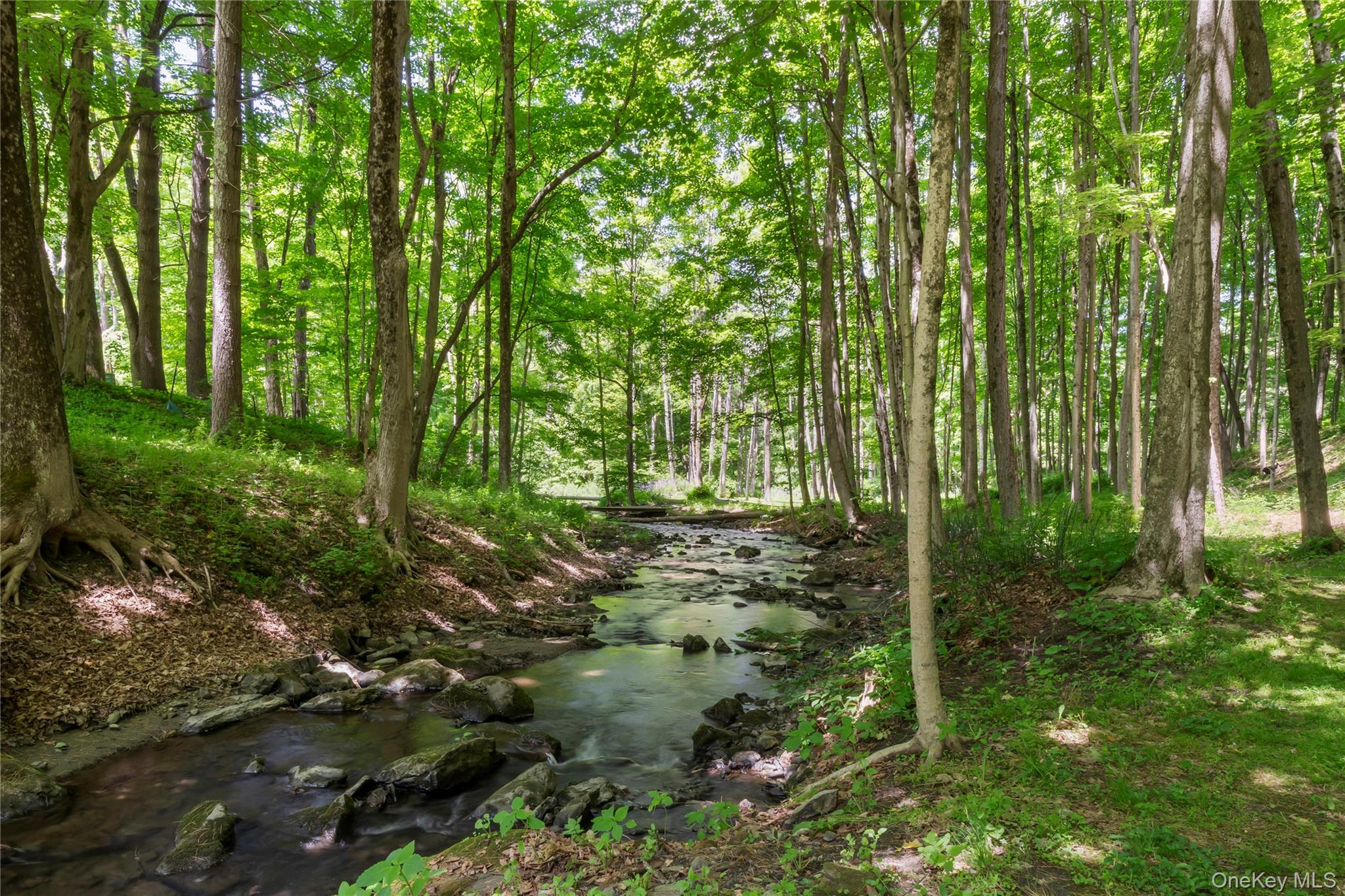 2955 State Route 23 – For Sale photo 44