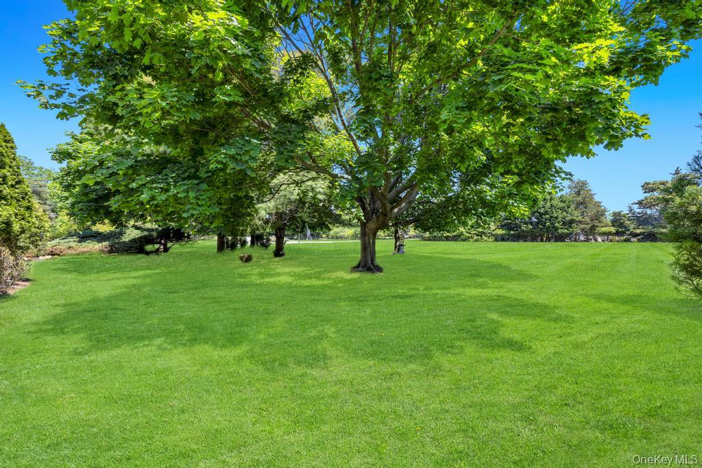 202 Captains Way – For Sale photo 3