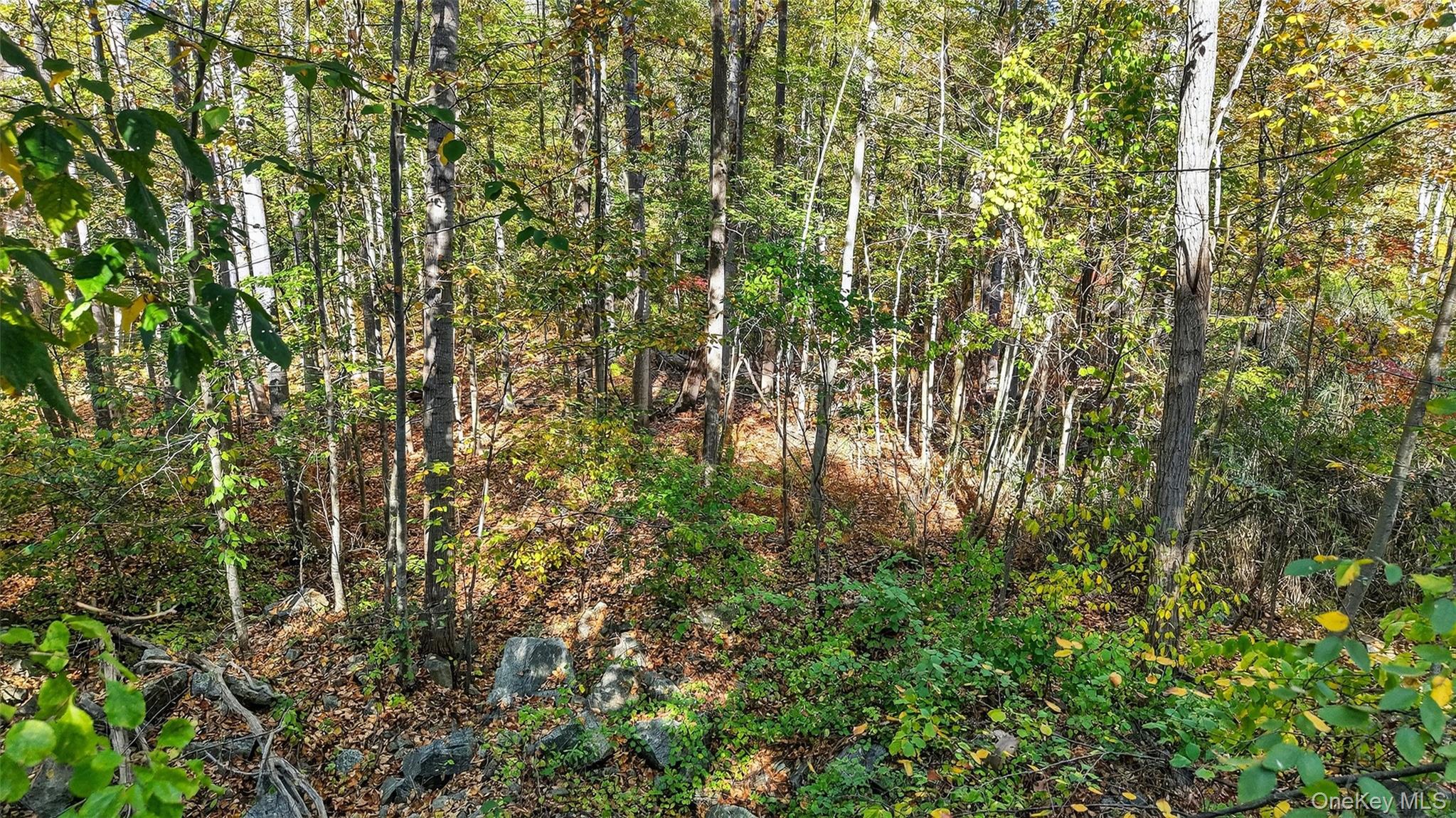 50 Winston Lane – For Sale photo 16