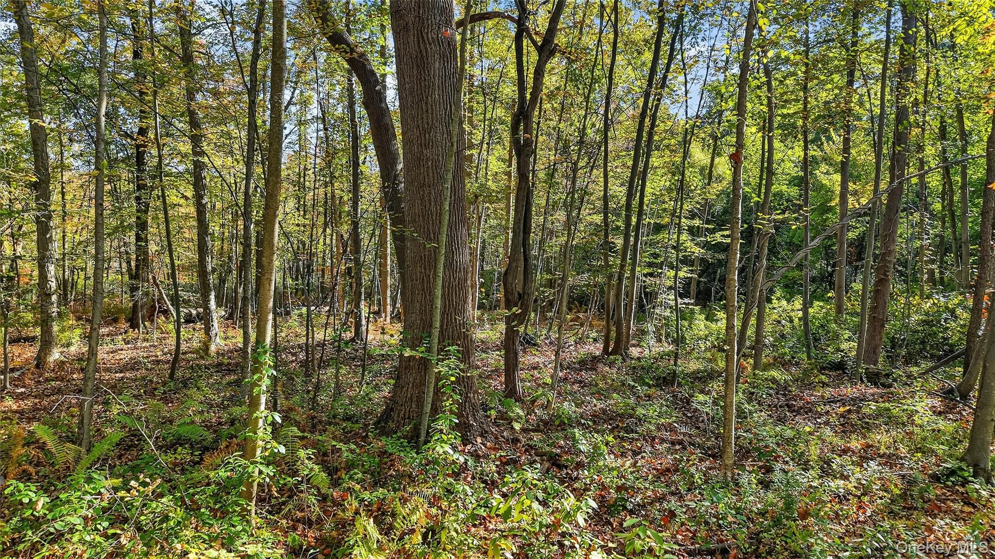 50 Winston Lane – For Sale photo 18
