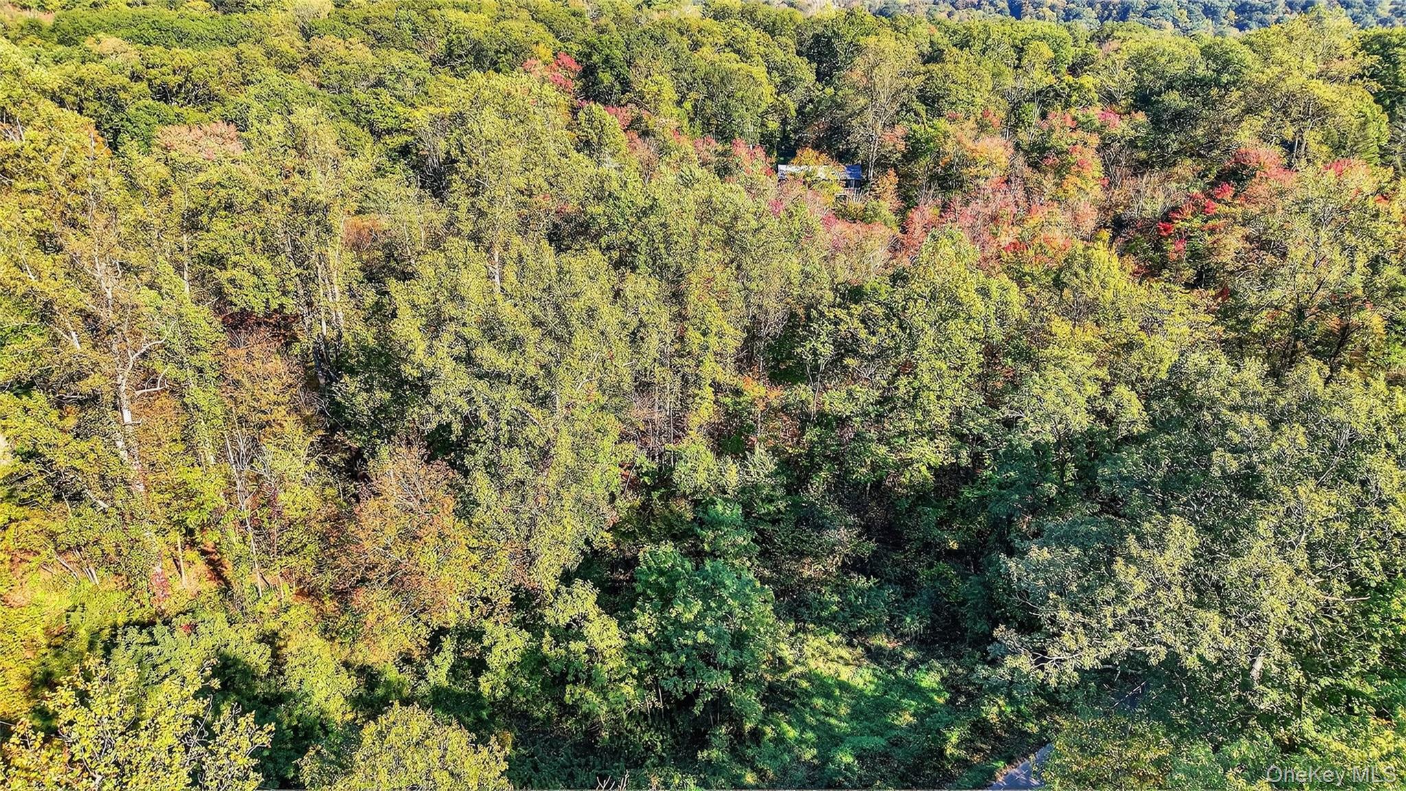 50 Winston Lane – For Sale photo 14