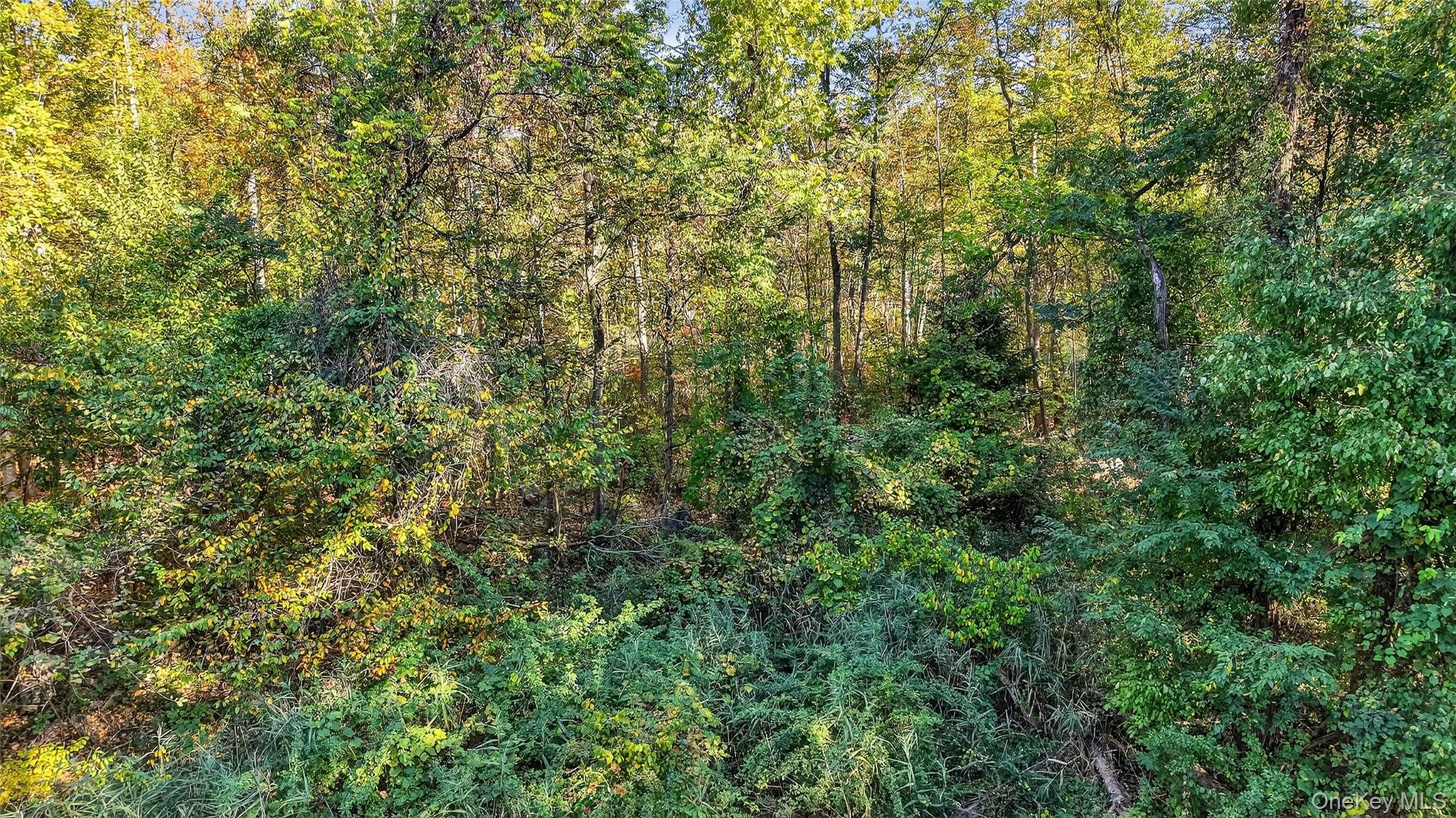 50 Winston Lane – For Sale photo 15