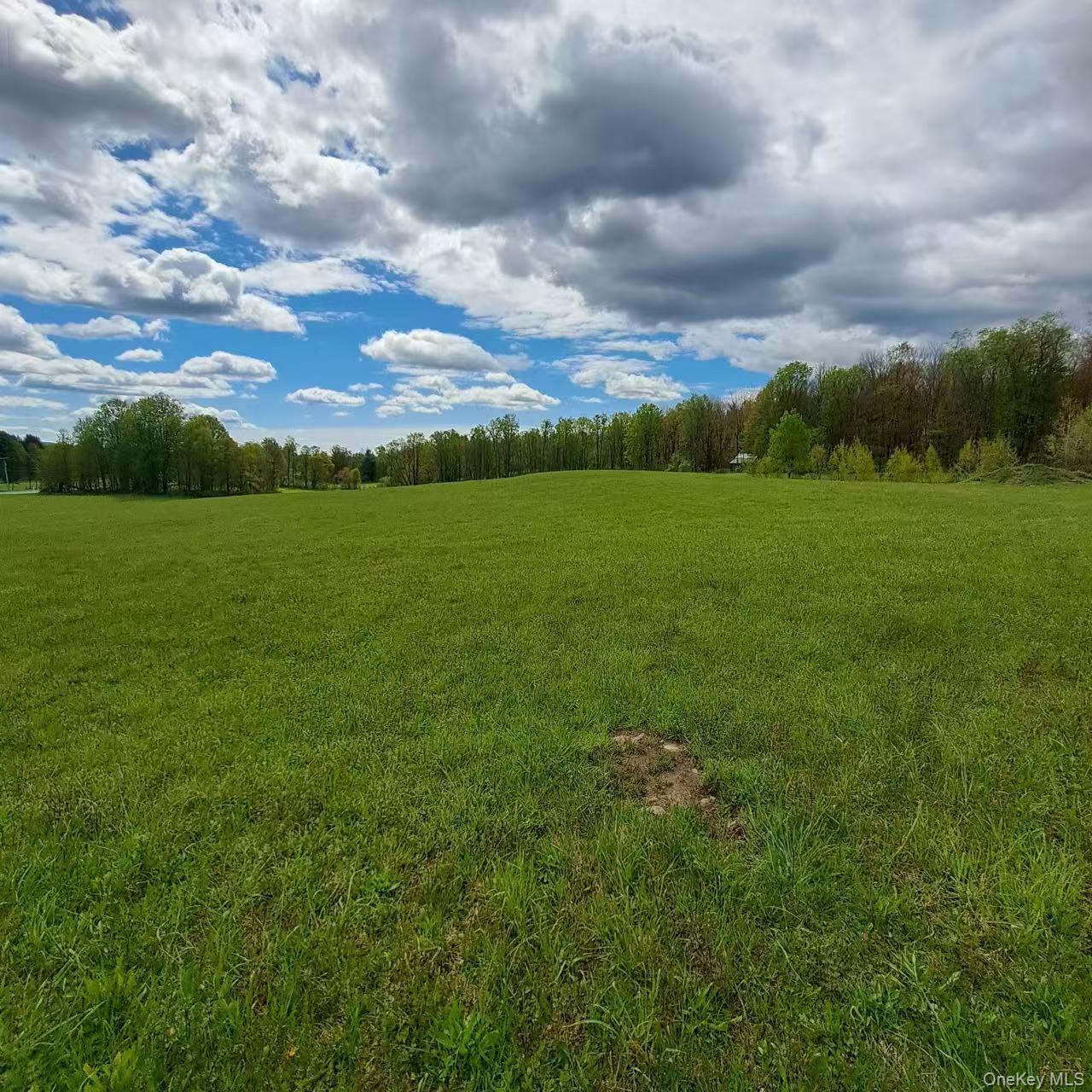 10755 NYS Route 13 – For Sale photo 2