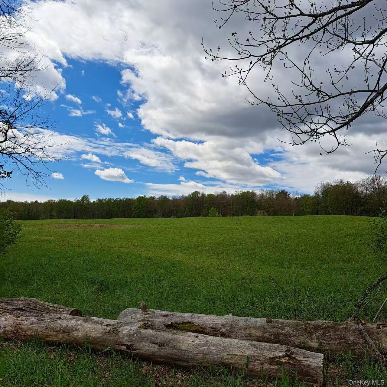 10755 NYS Route 13 – For Sale