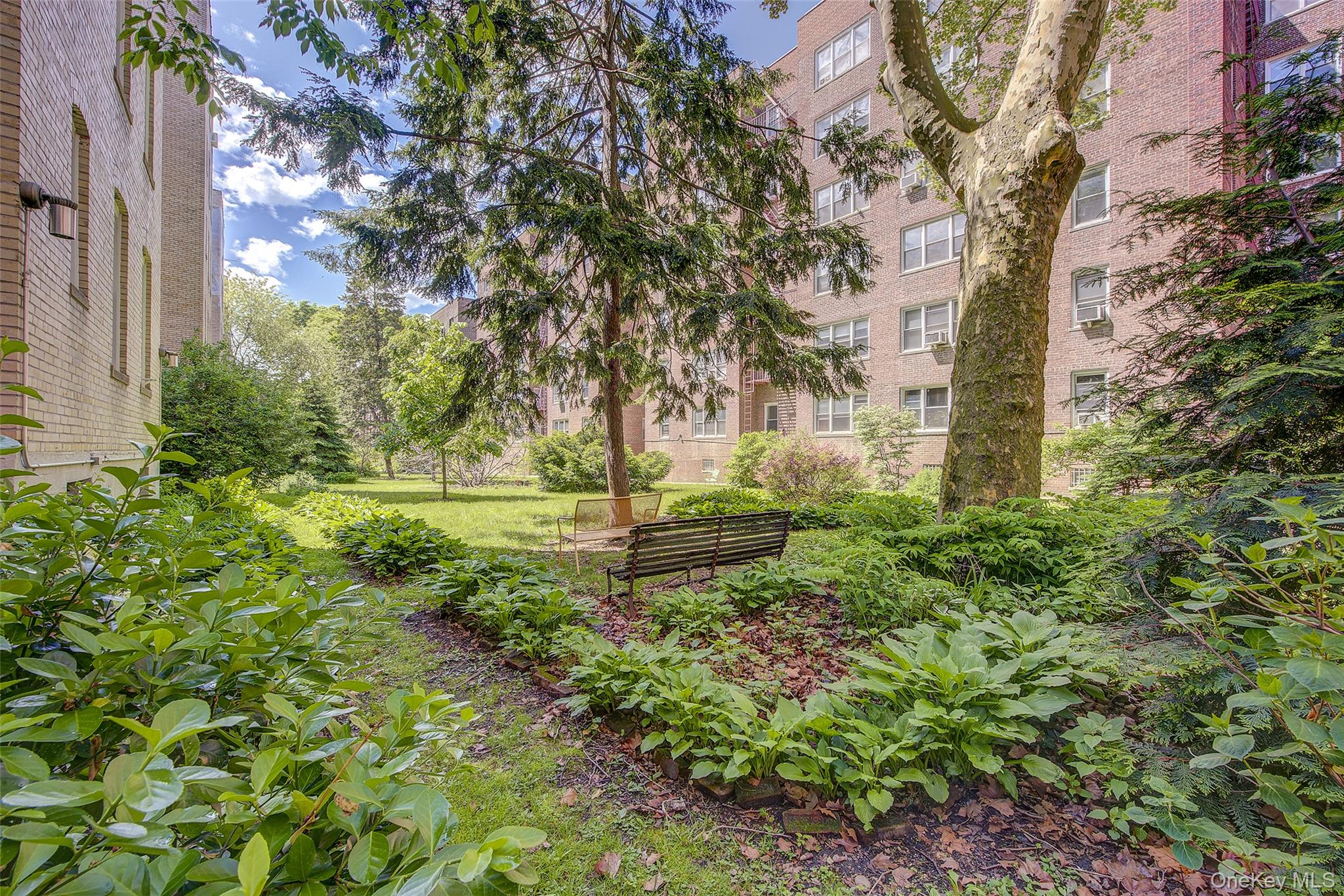 35-16 80th Street, Unit 3 photo 16