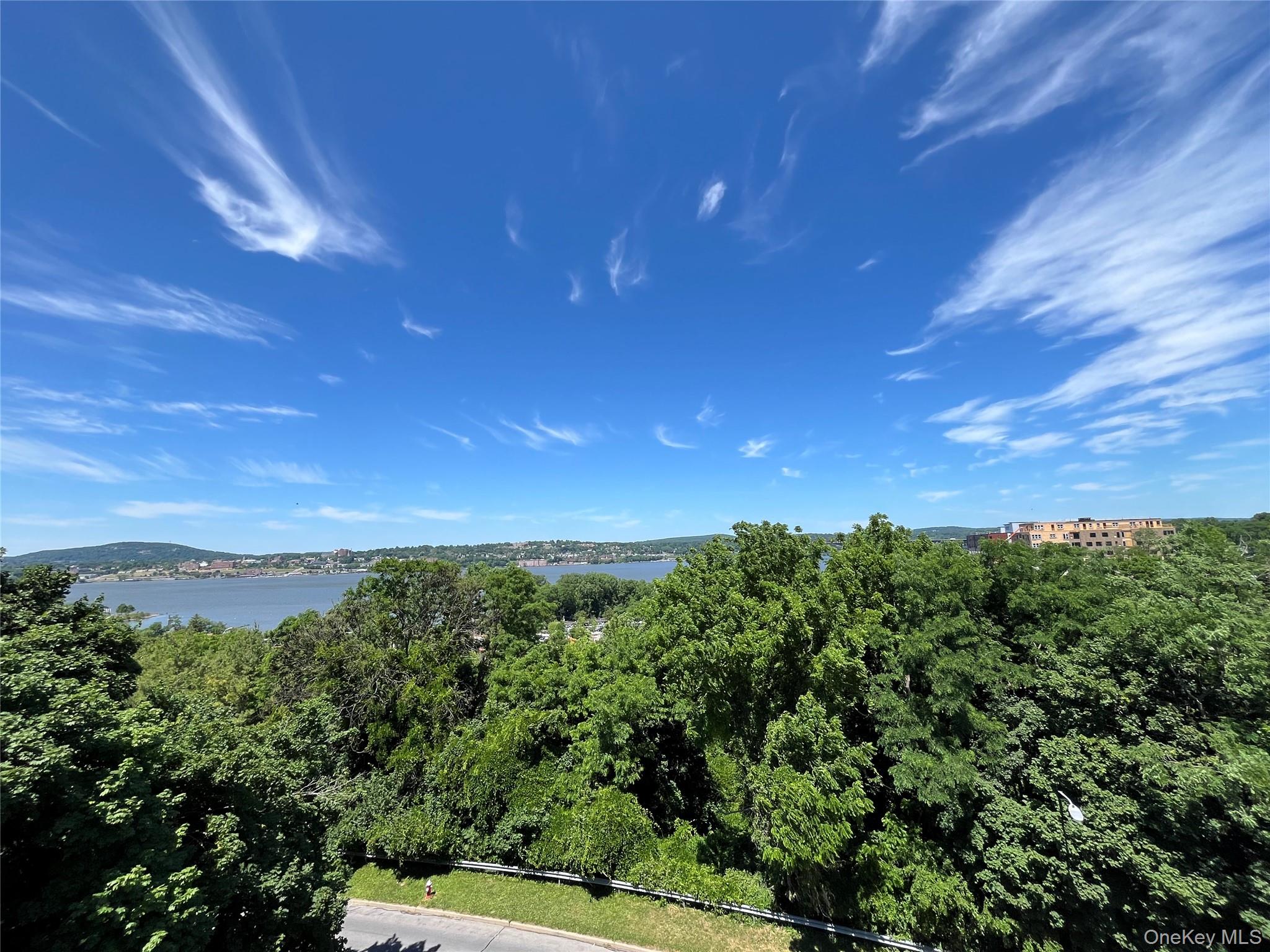 30 Beekman Street, Unit 213 photo 40