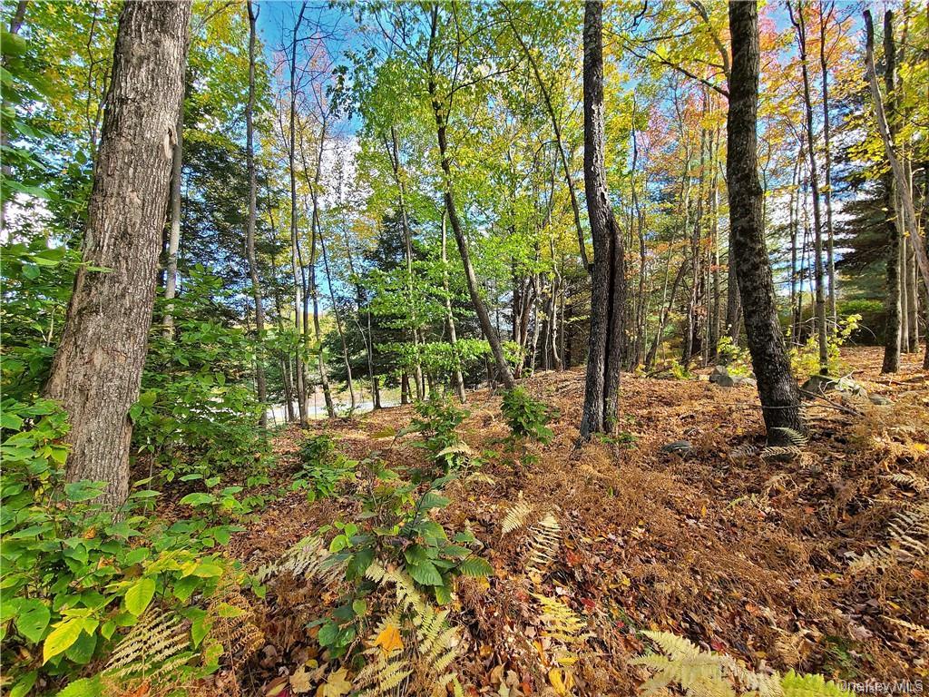 Lot 5.4 Kaufman Road – For Sale photo 31